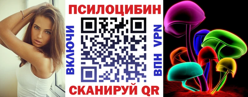 наркота  Городище  Галлюциногенные грибы Psilocybine cubensis 